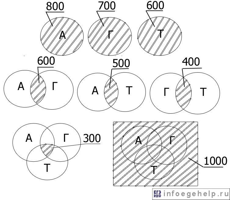 Решение задач с помощью диаграмм Эйлера-Венна, задача 2